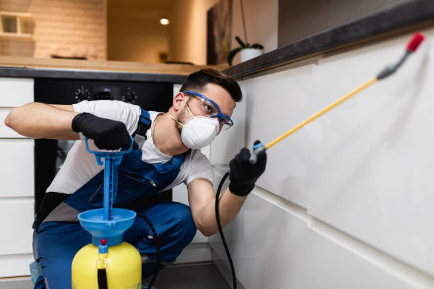 Best Wasp Removal Services  in Riverdale, GA
