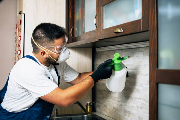Flea Control Services in Riverdale, GA