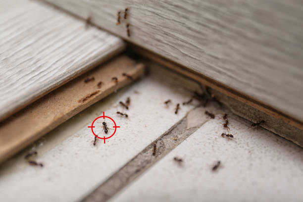 Best Cockroach Control Services  in Riverdale, GA