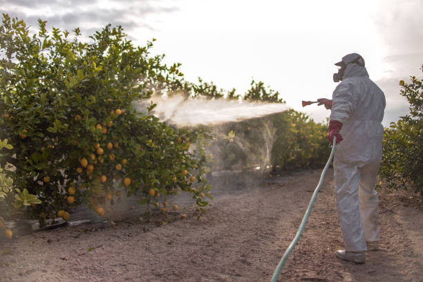 Best Termite Control Services  in Riverdale, GA