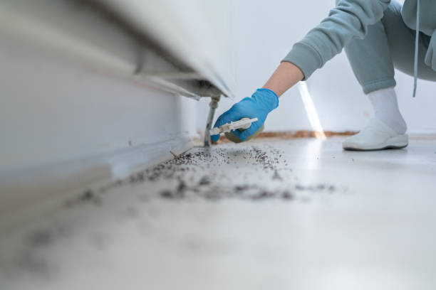 Best Pest Removal Services  in Riverdale, GA